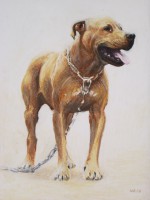 /album/tierisches/skipper003-jpg/