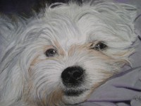 /album/tierisches/dsci1199-jpg/