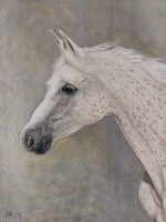 /album/tierisches/imag0252-jpg/