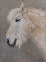 /album/tierisches/imag0311-jpg/