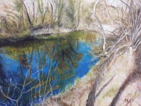 /album/fotogalerie-wasserkanten/imag0453-jpg/