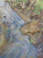 /album/fotogalerie-wasserkanten/imag0315-jpg/