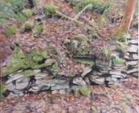 /album/fotogalerie-wasserkanten/imag1630-1-jpg/